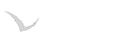 Logo Gabbiano